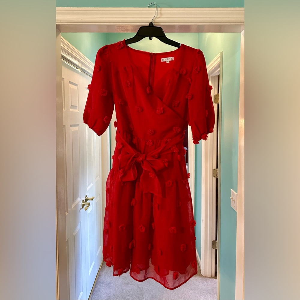 Ivy City Co First Kiss Pom Pom Dress Size Large EUC
